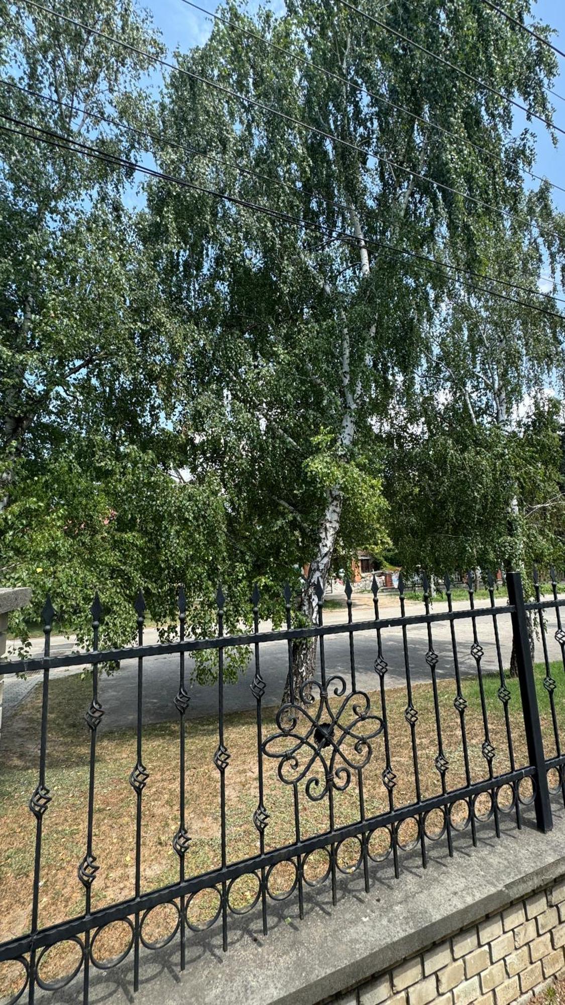 5 Haloszobas Wellness Vip House - Privat Medence Siófok Eksteriør billede